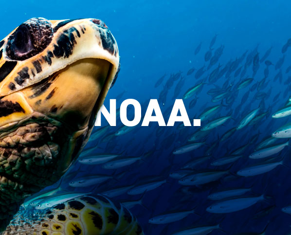noaa noaa